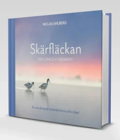 Skärfläckan : den gracila vadaren