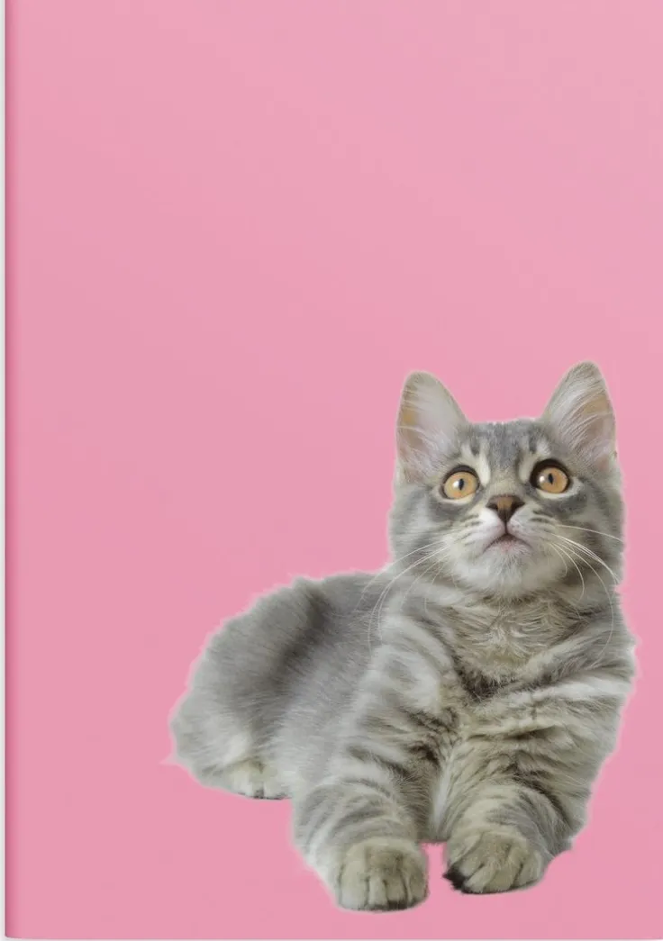 Skrivhäfte A4 linjerad Katt/Hund