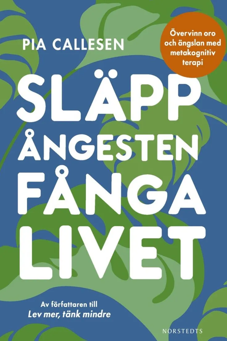Släpp ångesten, fånga livet : övervinn oro och ängslan med metakognitiv terapi