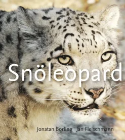 Snöleopard