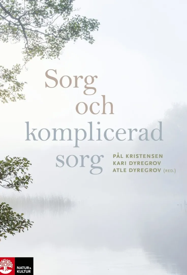Sorg och komplicerad sorg