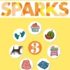 Sparks 3 Workbook