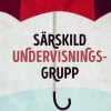 Särskild undervisningsgrupp