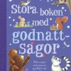 Stora boken med godnattsagor