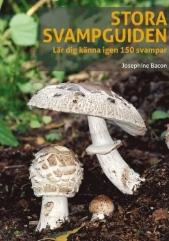 Stora svampguiden : Lär dig känna igen 150 svampar