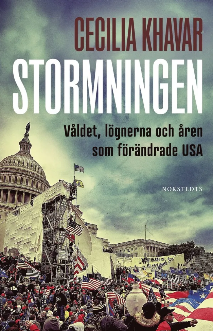 Stormningen : våldet, lögnerna och åren som förändrade USA