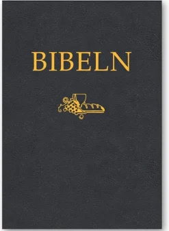 Storstilsbibel SFB15, A4, svart cabraskinn