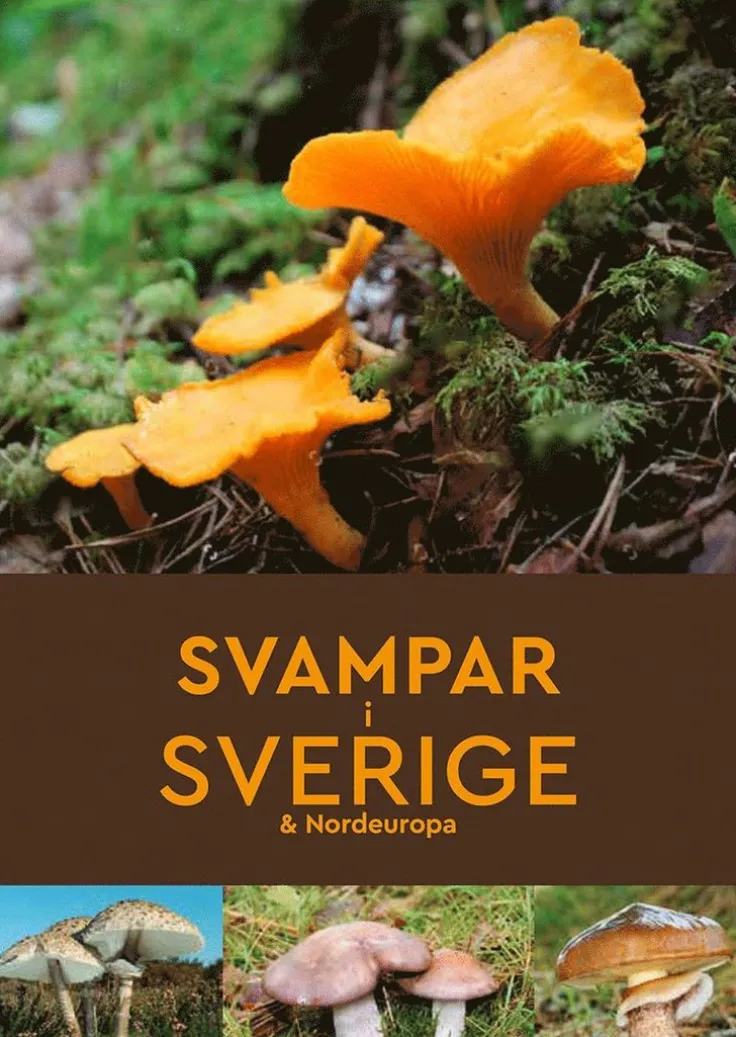 Svampar i Sverige & Nordeuropa