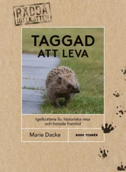 Taggad att leva : igelkottens liv, historiska resa och hotade framtid