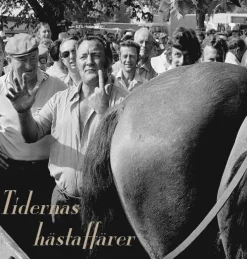 Tidernas hästaffärer