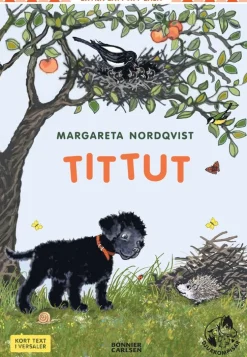 Tittut
