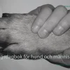 Träningsdagbok för hund och människa : allt börjar med rörelse
