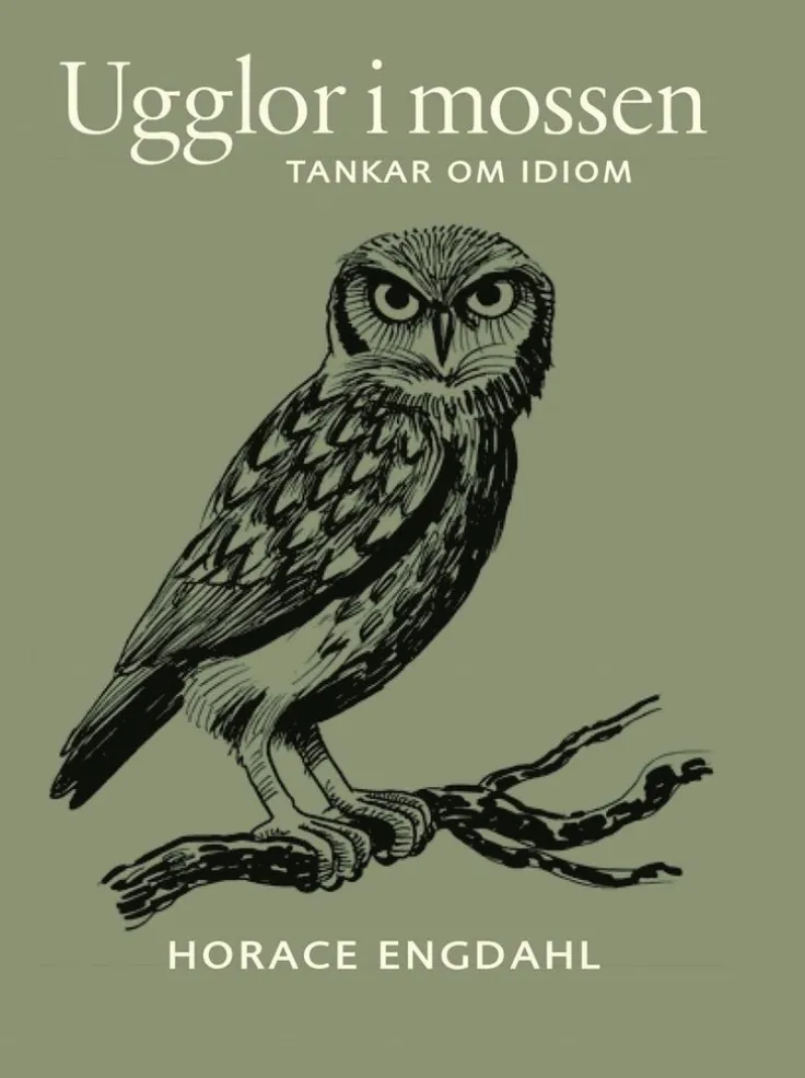 Ugglor i mossen : tankar om idiom