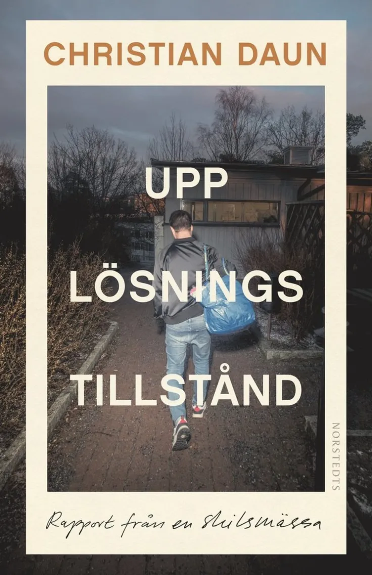 Upplösningstillstånd : rapport från en skilsmässa