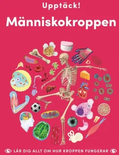 Upptäck människokroppen : lär dig allt om hur kroppen fungerar