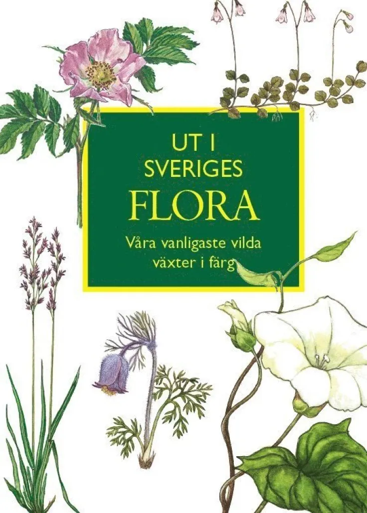 Ut i Sveriges Flora: våra vanligaste vilda växter i färg