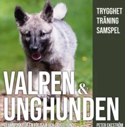 Valpen & unghunden : teamwork för en följsam och trygg hund