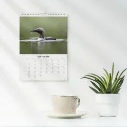 Väggkalender 2026 Fåglar