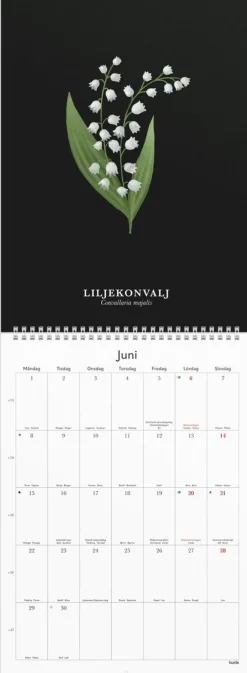 Väggkalender 2026 Illustrerad blomster