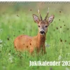 Väggkalender 2026 Jaktkalender