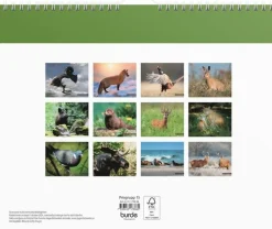 Väggkalender 2026 Jaktkalender