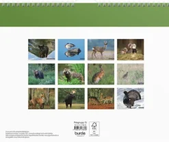 Väggkalender 2025 Jaktkalender
