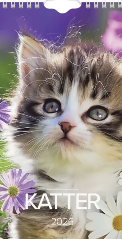 Väggkalender 2026 Liten Kattkalender