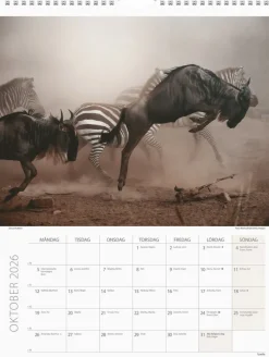Väggkalender 2026 Savannen