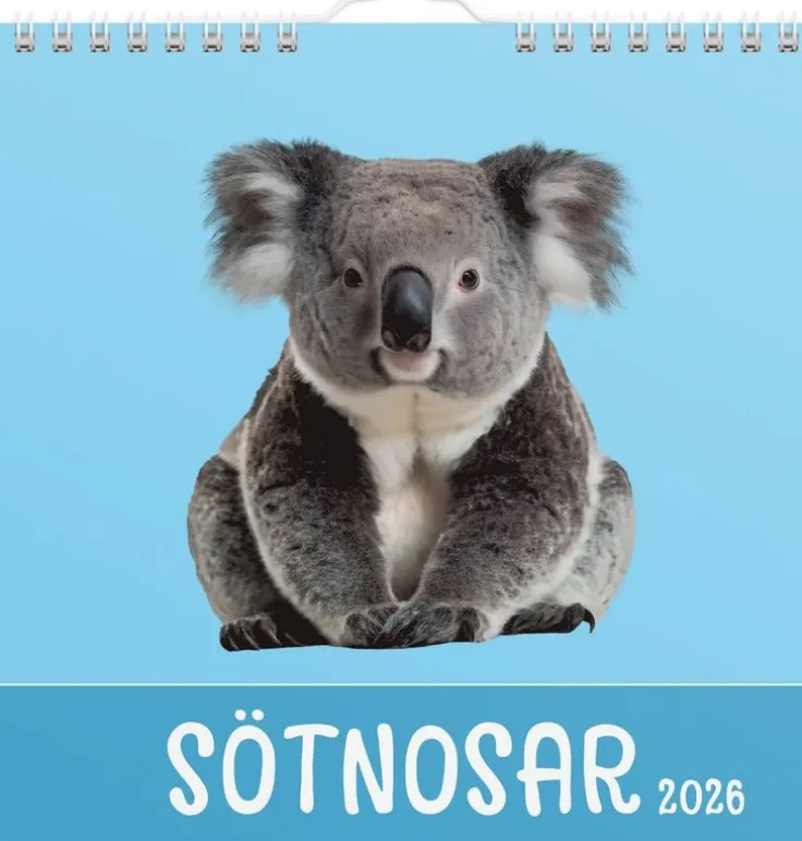 Väggkalender 2026 Sötnosar