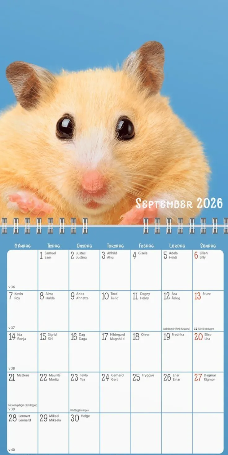 Väggkalender 2026 Sötnosar