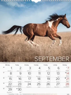 Väggkalender 2025 Stora Hästkalendern