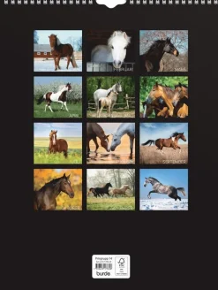 Väggkalender 2025 Stora Hästkalendern