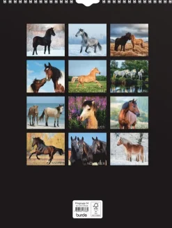Väggkalender 2026 Stora Hästkalendern