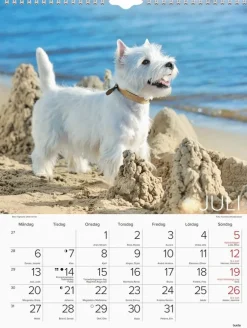 Väggkalender 2026 Stora Hundkalendern