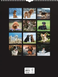 Väggkalender 2026 Stora Hundkalendern