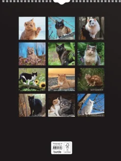 Väggkalender 2026 Stora Kattkalendern