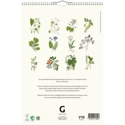 Väggkalender 2026 Växter