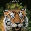 Väggkalender 2026 Wild animals