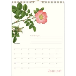 Väggkalender 2026 Wildflower Evighet