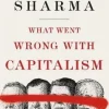 What Went Wrong With Capitalism