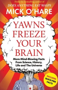 Yawns Freeze Your Brain